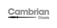 Cambrian Steels