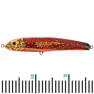 Buy Nomad Design Riptide Floating Stickbait Lure 265mm Coral Trout online  at