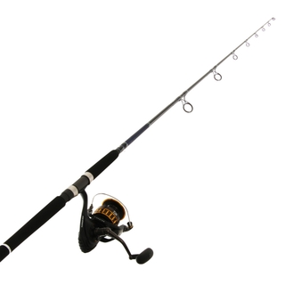 Buy Daiwa BG16 6500 and Saltist ST 802XH Stickbait Combo with Braid 8ft PE  8 150-300g 2pc online at