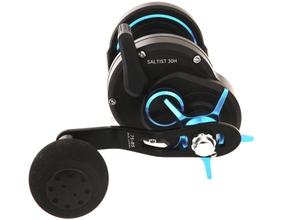 DAIWA SALTIST 30H STAR DRAG OVERHEAD REEL - Fish City Albany : Fishing -  Hunting - Boating, North Shore