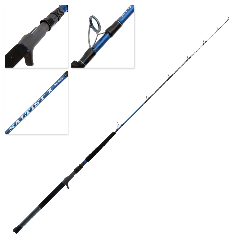 Daiwa outlet saltist rod