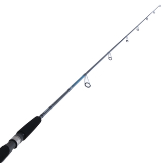 Buy Shimano Energy Concept Inshore Spin Jig Rod 6ft 4in 80-200g 1pc online  at