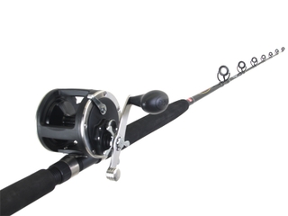 Buy PENN GT 330 Rod and Reel Combo 5'4'' 10-15kg 1pc online at