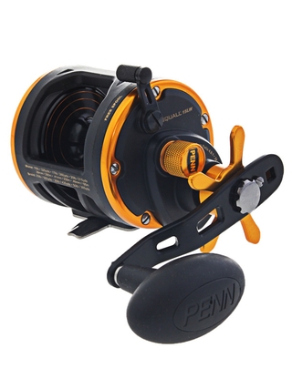 Buy PENN Squall 15LW Level Wind Reel online at