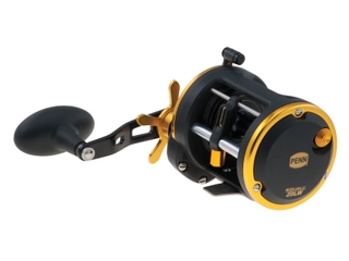 Buy PENN Squall 20LW Level Wind Reel online at