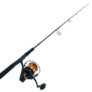 Buy PENN Spinfisher VI 8500 and Allegiance II Spinning Strayline Combo 6'2''  10-15kg 1pc online at