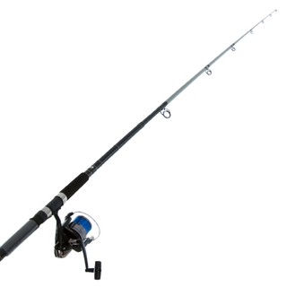 Buy Daiwa Procyon 5500 and PC1303 Surfcasting Combo 13ft 10-15kg