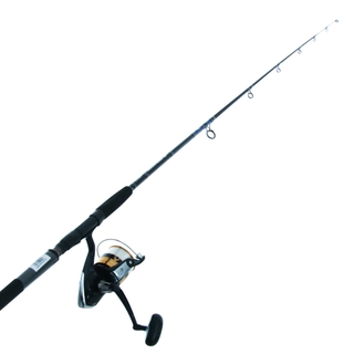 Buy Daiwa Sweepfire 5000 2B and Eliminator 661MS Boat Spin Combo 6ft 6in  4-8kg 1pc online at