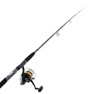 Buy Daiwa Sweepfire 5000 2B and Eliminator Surf Combo 9ft 6in 8