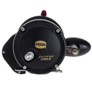 Buy PENN Fathom FTH25NLD and Allegiance II Overhead Speed Jigging Combo  5'1'' PE5-8 1pc online at