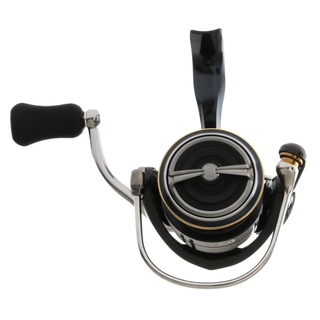 Buy Daiwa 19 Certate LT 2500 Shallow Light Drag Freshwater