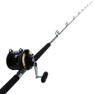 Buy Shimano Triton TLD 25 Lever Drag Status Straight Butt Boat Combo 6ft  3in PE2-4 2pc online at