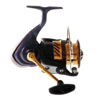 Buy Daiwa Laguna LT 4000-CA Exceler Oceano Soft Bait Spin Combo with Braid  7ft 6in 5-9kg 2pc online at