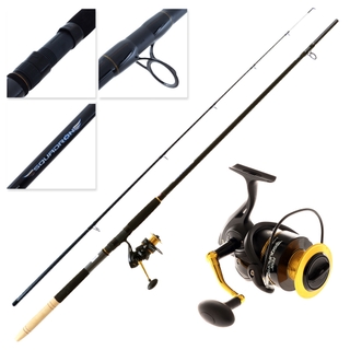 Buy PENN Squadron 8000 Spin Surfcasting Combo 13ft 8-15kg 2pc online at
