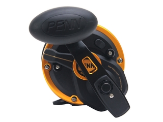 PENN Squall Lever Drag 2 Speed Bluewater Carnage Overhead Combo - Pauls  Fishing Systems