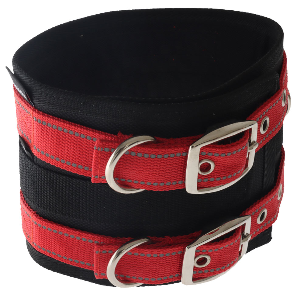 Gun dog clearance collars