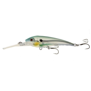 Buy Nomad Design DTX Trolling Minnow Lure Floating 120mm online at