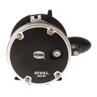Buy PENN Rival 30 Level Wind Boat Combo 6ft 8-15kg 1pc online at