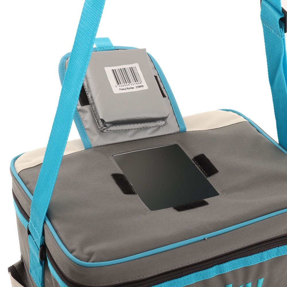 Esky 30 can hybrid cooler with ice sales brick