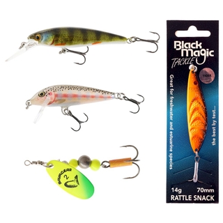 Buy Daiwa Sol Legalis Ultimate Canal / Freshwater Trout Salmon Fishing  Package 8ft 6in 2-5kg 2pc online at