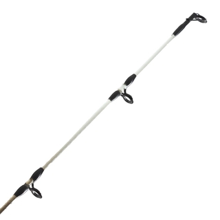 Buy Shimano Thunnus 8000 F Ci4 and Carbolite SW Straylining Combo 7ft  6-10kg 1pc online at