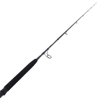 PENN ALLEGIANCE III SURF ROD