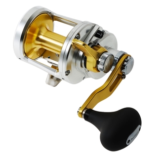 Buy Shimano Talica 10 Jigging Reel online at