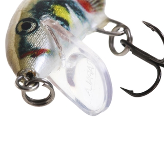 Buy Rapala CountDown CD-5 Sinking Lure 5cm online at