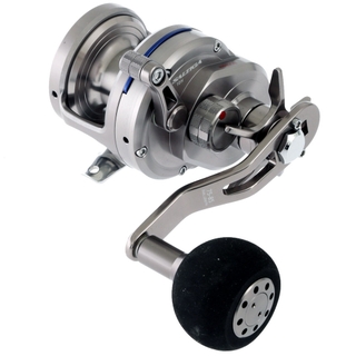 Buy Daiwa Saltiga 10H Overhead Jigging Reel online at