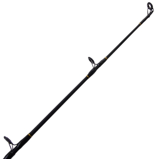 Buy PENN Squall 30 Lever Drag Overhead Boat Combo 6ft 6in 6-10kg 1pc online  at