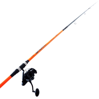 Buy TiCA Scepter GTY10000 Galant 1463 Surfcasting Combo 14ft 9in 100-220g  3pc online at