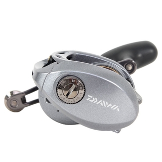 Buy Daiwa Lexa 300 HS-P and Crosscast 110XH Overhead Salmon Combo 11ft  10-20kg 2pc online at
