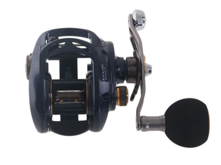 Buy Daiwa Lexa 300 HS-P and DXS 862 MFB Trigger Salmon Combo 8ft 6in 8-  17lb 2pc online at