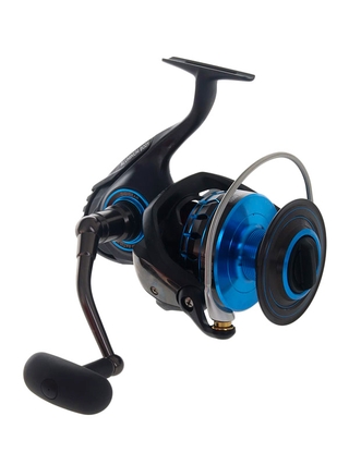 Buy Daiwa Saltist 8000 and Saltist Demon Blood Stickbait Combo with Line  7'6'' PE 6-8 4pc online at