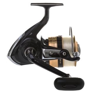 Buy Daiwa Sweepfire 5000 2B and Eliminator 701HS Boat Spin Combo 7ft  10-15kg 1pc online at