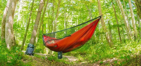 Buy ENO Guardian SL Bug Net for Hammocks online at