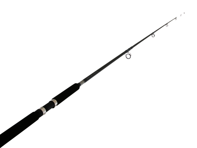 jarvis walker 12ft beach rod