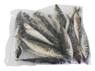 Buy Salty Dog New Zealand Jack Mackerel 5kg Freeflow Box online at