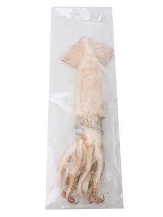 Buy Salty Dog Broadbill Arrow Squid XL 400g online at