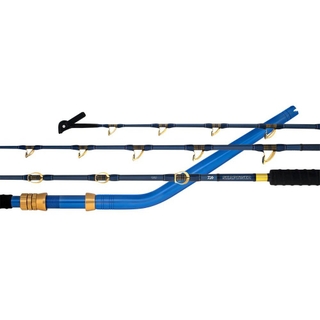 Buy Daiwa 23 Seapower 55XHST Bent Butt Electric Rod 5ft 5in PE6-10 1pc  online at