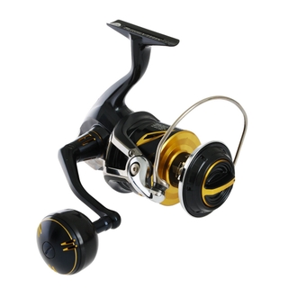 Buy Shimano Stella SW 8000 HG Energy Concept Topwater Spin Combo 8ft 40-70g  PE2-4 2pc online at