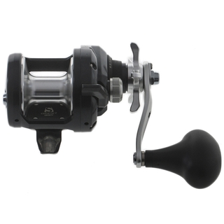 Buy Shimano Torium 14A HG and Carbolite SW Overhead Strayline Combo 7ft  6-10kg 1pc online at
