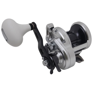 Shimano TN20A Trinidad Saltwater Fishing Reel for sale online