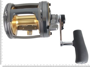 Buy Shimano Tyrnos 50 LRS 2 Speed and Abyss SW Stand Up Game Combo 5'2''  50lb 1pc online at