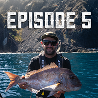 Episode 5 - 12 October 2025