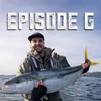 Episode 6 - 19 October 2025