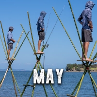 May '26
