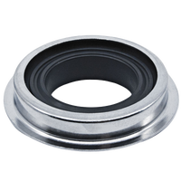 Bearing Seals