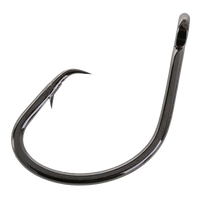 Circle / Recurve Hooks