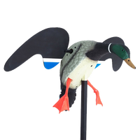 Decoys & Accessories
